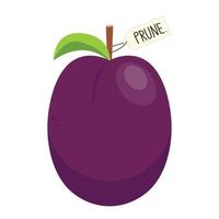 Prunes cartoon vector. symbol. logo design. Fresh plum with green leaf in cartoon style. Vector whole and parts sweet plum isolated on a white background.