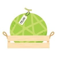 Melon vector. melon on white background. wallpaper. logo design. vector