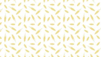 Wheat pattern wallpaper. oat symbol. free space for text. rice sign. Rice pattern wallpaper. vector