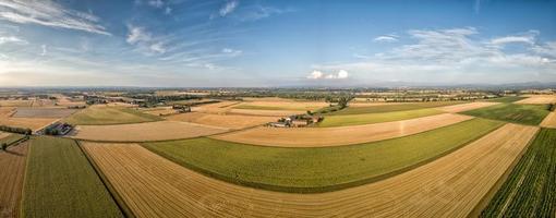 sunflower fields aerial view landscape with drone photo