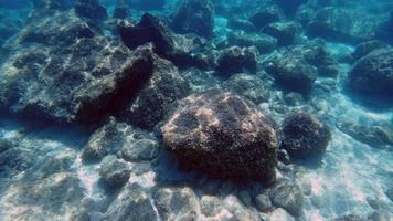 Sardinia crystal water underwater view while diving photo