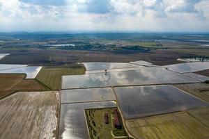 rice farmed fields in italy aerial view photo
