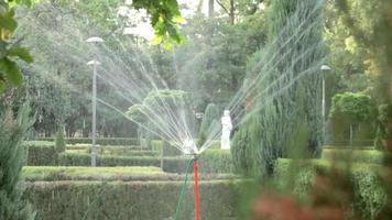 gazon irrigatiesysteem werken in een groen park. bij warm weer het gazon met water besproeien. automatische sproeier. de automatische sproeikop die het gazon besproeit. slimme tuin. video