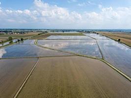 rice farmed fields in italy aerial view photo