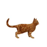 3d Ginger Cat png