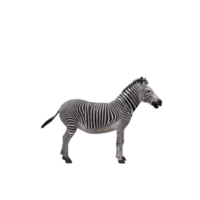 3D-Zebra isoliert png