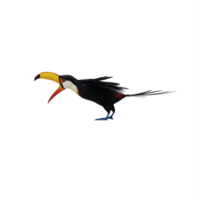 oiseau toucan 3d isolé png