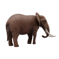 3D-afrikanischer Elefant isoliert png