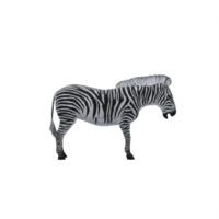 3d zebra isolato png