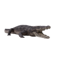3D-afrikanisches Krokodil isoliert png