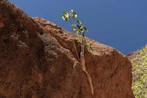 volcano rock and stone baja california sur photo