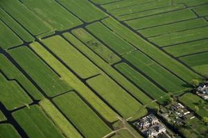 holland farmed fields aerial view photo