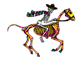 art fancy cowboy calavera dia de muertos. dibujar a mano y hacer gráficos. png