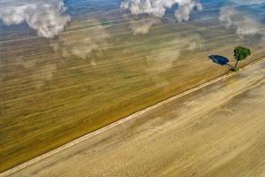 rice farmed fields in italy aerial view photo