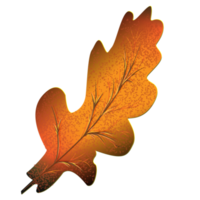 Autumn leaf icon png