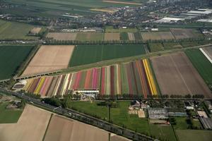 campos de tulipanes holanda vista aérea desde el avión foto