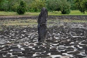 Taputapuatea Marae of Raiatea French polynesia Unesco archeological site photo