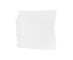 wit gescheurd stuk van papier geïsoleerd Aan transparant achtergrond PNG het dossier