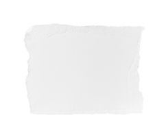 bianca strappato pezzo di carta isolato su trasparente sfondo png file