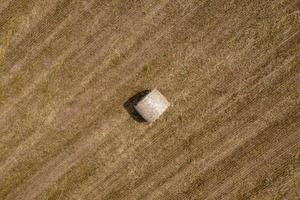 packed hay bale harvested fodder balls aerial view photo