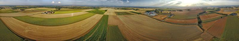 sunflower fields aerial view landscape with drone photo