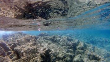 Sardinia crystal water underwater view while diving photo