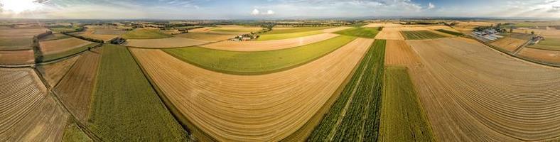 paisaje de vista aérea de campos de girasol con drone foto