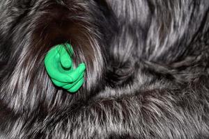 green hand on animal fur clothes detail photo