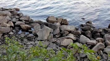 närbild av en klippig strand i de eftermiddag. vatten vågor. sten flod Bank. vatten tvättar stenar på de banker av de flod. landskap. video