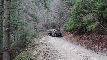 en stor lastbil med en full kropp av nyligen sågad trä. transport av virke förbi väg på en berg väg med en trailer. nyligen skära loggar är staplade i en rad. Ukraina, yaremche - november 20, 2019. video