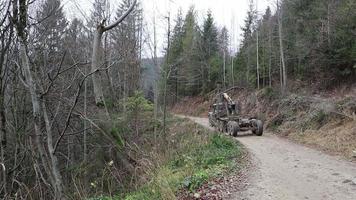 een groot vrachtauto met een leeg lichaam schijven langs een aarde weg in de Woud voor vers gezaagd logboeken. vervoer van timmerhout door weg Aan een berg weg met een aanhangwagen. Oekraïne, yaremche - november 20, 2019. video