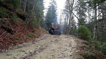 en stor lastbil med en full kropp av nyligen sågad trä. transport av virke förbi väg på en berg väg med en trailer. nyligen skära loggar är staplade i en rad. Ukraina, yaremche - november 20, 2019. video