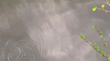 een sereen en kalmte water oppervlakte van een stil meer met een reflectie van de lucht en wolken. Doorzichtig water in een Woud meer. video