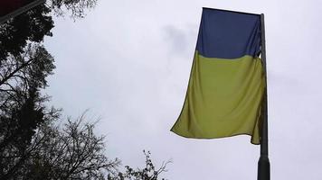 Flag of Ukraine on a flagpole fluttering in the wind against a deep dramatic sky in cloudy weather video