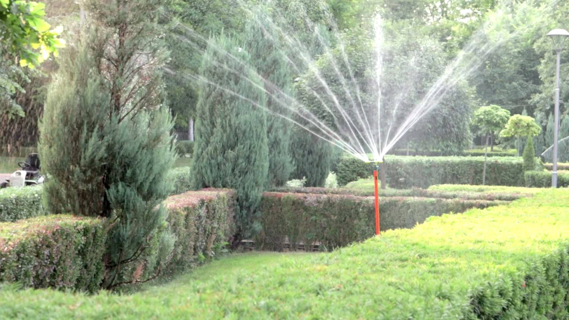 Lawn irrigation system working in a green park. Spraying the lawn with