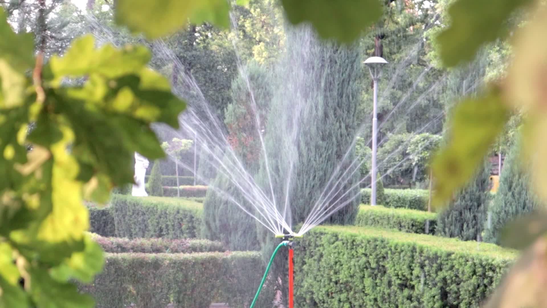 Lawn irrigation system working in a green park. Spraying the lawn with