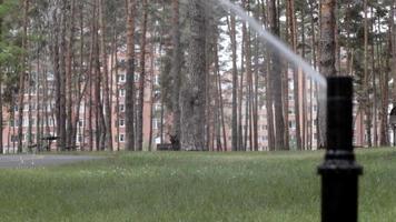 impianto di irrigazione del prato funzionante in un parco verde. spruzzando il prato con acqua quando fa caldo. spruzzatore automatico. la testa dell'irrigatore di irrigazione automatica che innaffia il prato. giardino intelligente. video