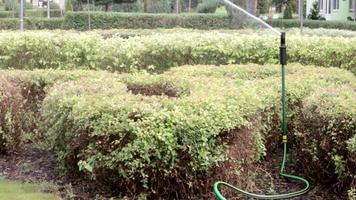 impianto di irrigazione del prato funzionante in un parco verde. spruzzando il prato con acqua quando fa caldo. spruzzatore automatico. la testa dell'irrigatore di irrigazione automatica che innaffia il prato. giardino intelligente. video