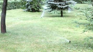 sistema de irrigação de gramado trabalhando em um parque verde. borrifar água no gramado em dias quentes. sprinkler automático. o aspersor de irrigação automática irrigando o gramado. jardim inteligente. video