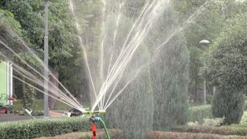 sistema de irrigação de gramado trabalhando em um parque verde. borrifar água no gramado em dias quentes. sprinkler automático. o aspersor de irrigação automática irrigando o gramado. jardim inteligente. video