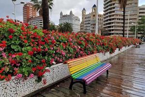 Rainbow flag bench after the rain in Valencia photo