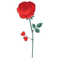 Rose which can easily edit or modify vector