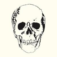 Skull vintage style. Vector illustration.