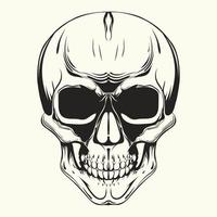 Skull vintage style. Vector illustration.