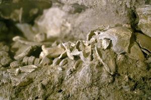 human skull and bones in a crypt tomb photo