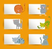 cards design set with cartoon cats or kittens vector