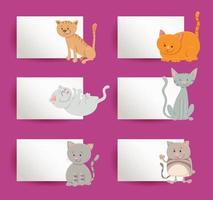 cards design set with cartoon cats and kittens vector