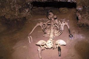 Human skeleton sjull and bones in a tomb photo