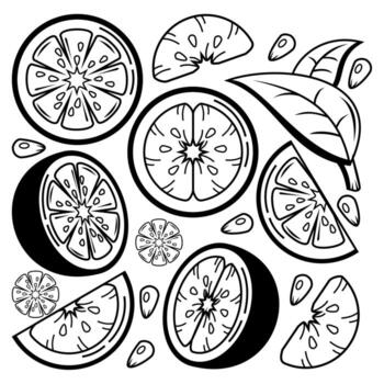 bandle fruit element suitable for element design vector