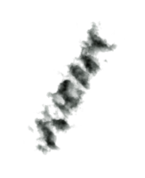 pinceau vert foncé png